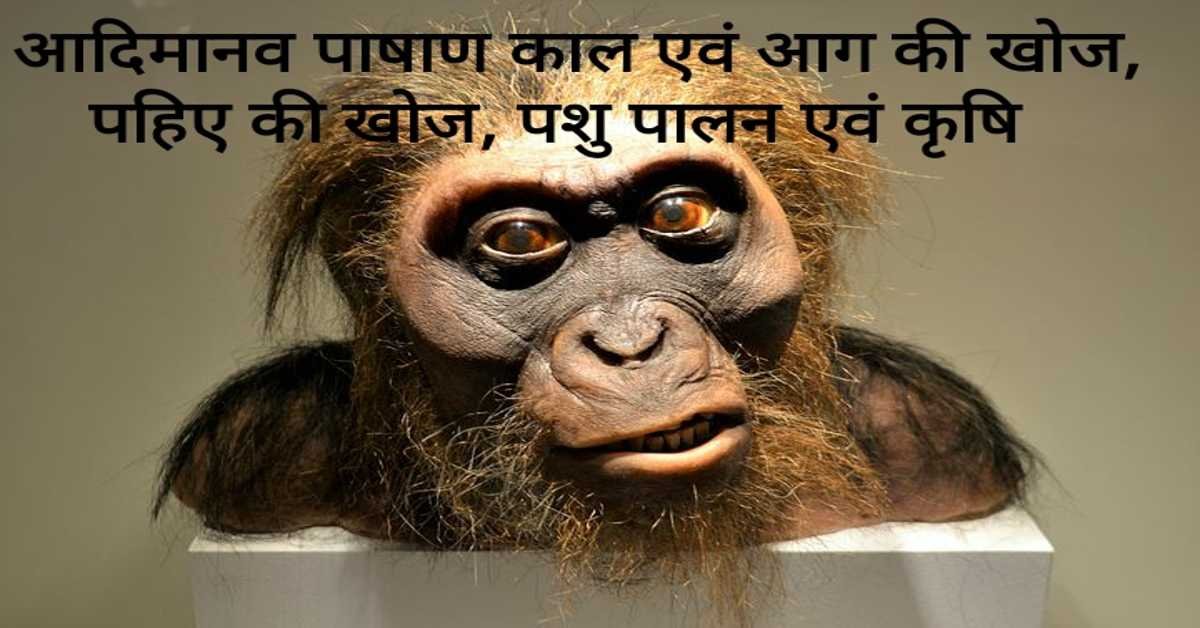 आदिमानव पाषाण काल एवं आग की खोज, पहिए की खोज, पशु पालन एवं कृषि | primitive man  Stone Age and Discovery of Fire, Discovery of Wheels, Animal Husbandry and Agriculture 